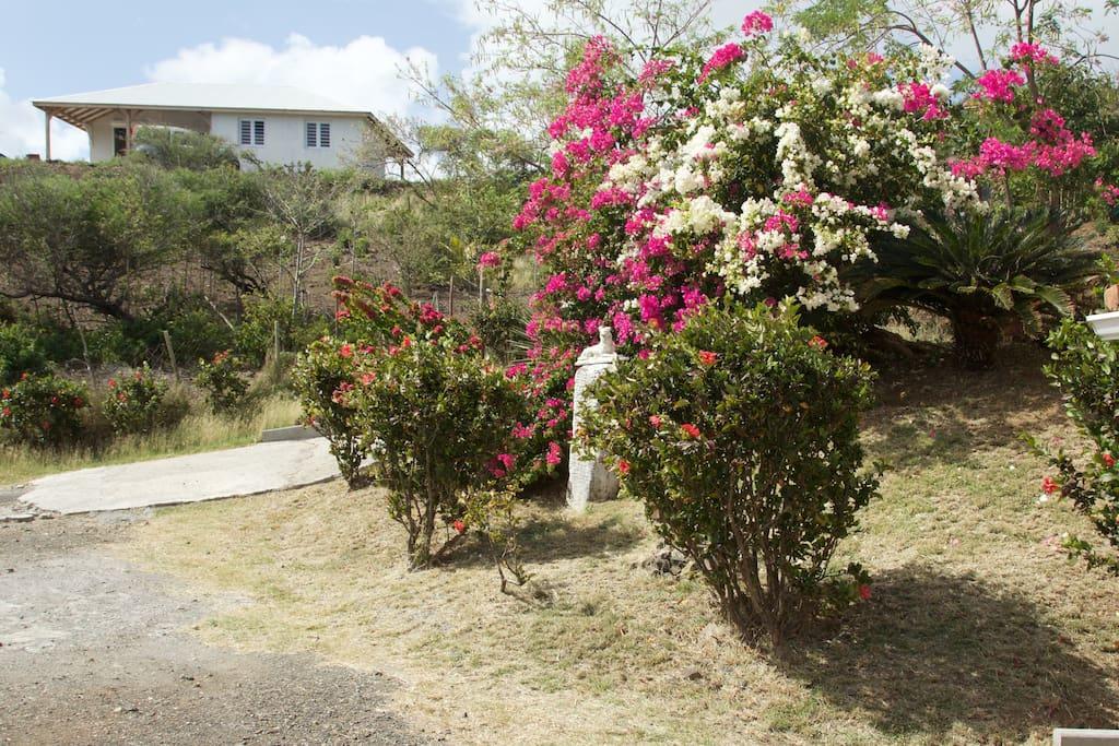 Appartement Vacances Goyave Cap Chevalier Esterno foto